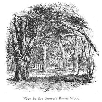 View in the Queen
